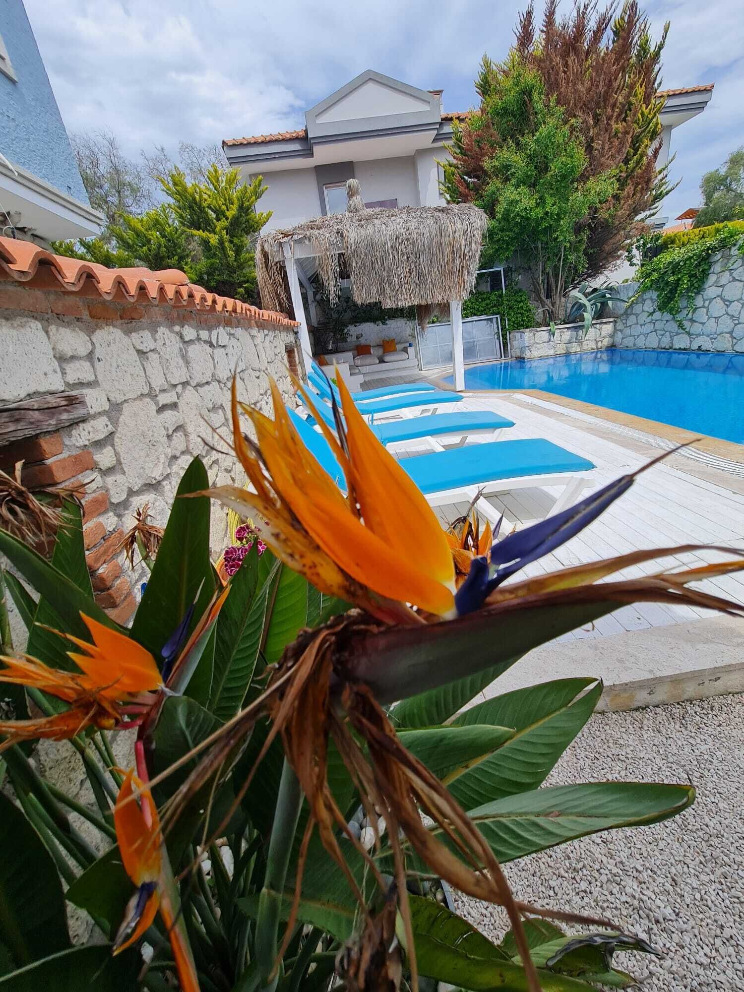 Un área de piscina con sillas de descanso, un muro de piedra y una estructura con techo de paja.