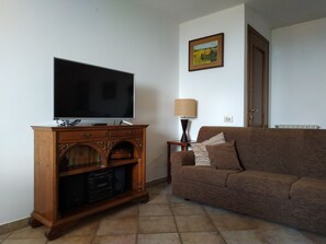 Flat-screen TV