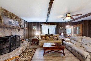 TV, fireplace, video games