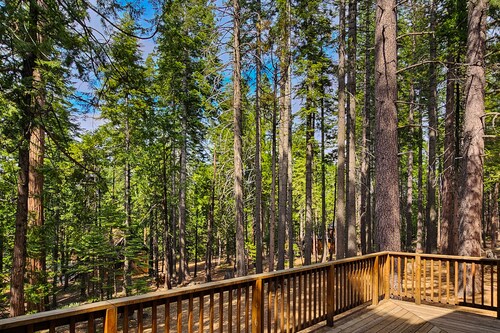 Dog-friendly cabin with gorgeous views, wrap around porch, & wood burning fireplace