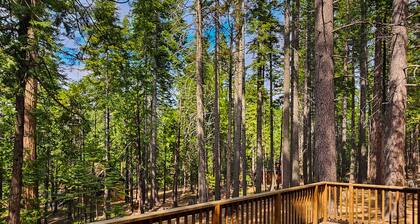 Dog-friendly cabin with gorgeous views, wrap around porch, & wood burning fireplace