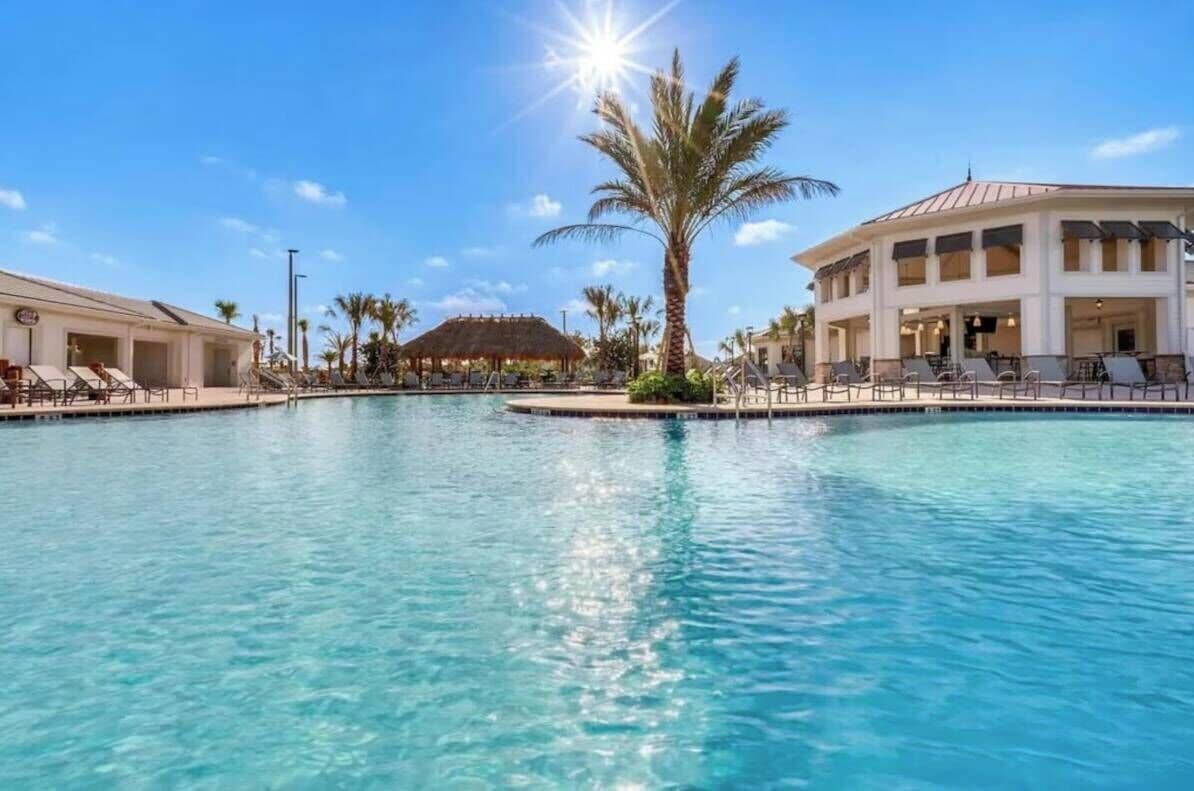 A swimming pool with lounge chairs and a palm tree, surrounded by buildings.