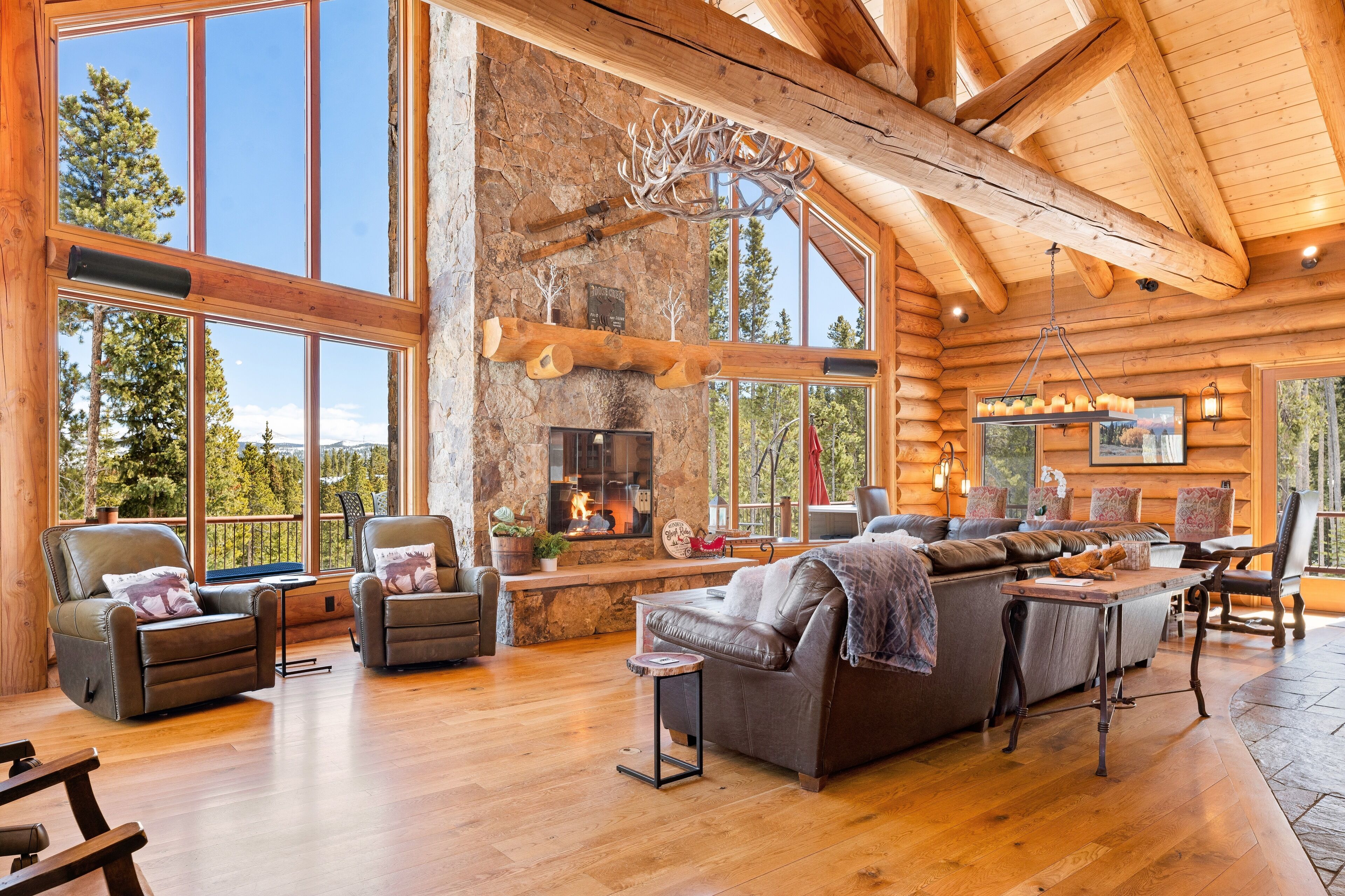 Smart TV, chimenea, reproductor de DVD, libros