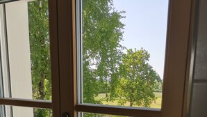 Una ventana con vistas a un paisaje verde, que incluye árboles y una valla.