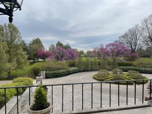 Área da propriedade