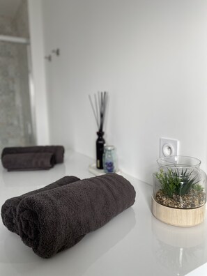 Douche, sèche-cheveux, serviettes fournies, savon