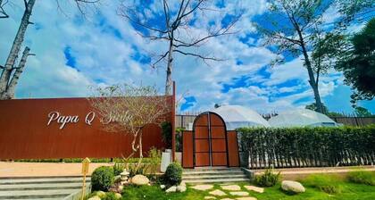 papa q suite resorts