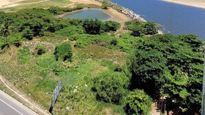 Eine Küstenlandschaft mit Straße, Strand und viel Grün.