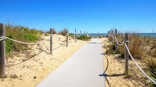 A sandy beach path with wooden posts and ropes, leading to the ocean. - Newly Updated OCEAN BLOCK 2 bedroom condo, steps away from the beach! (Dewey Beach)