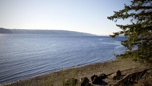A calm lake with a rocky shoreline and a pine tree on the right.