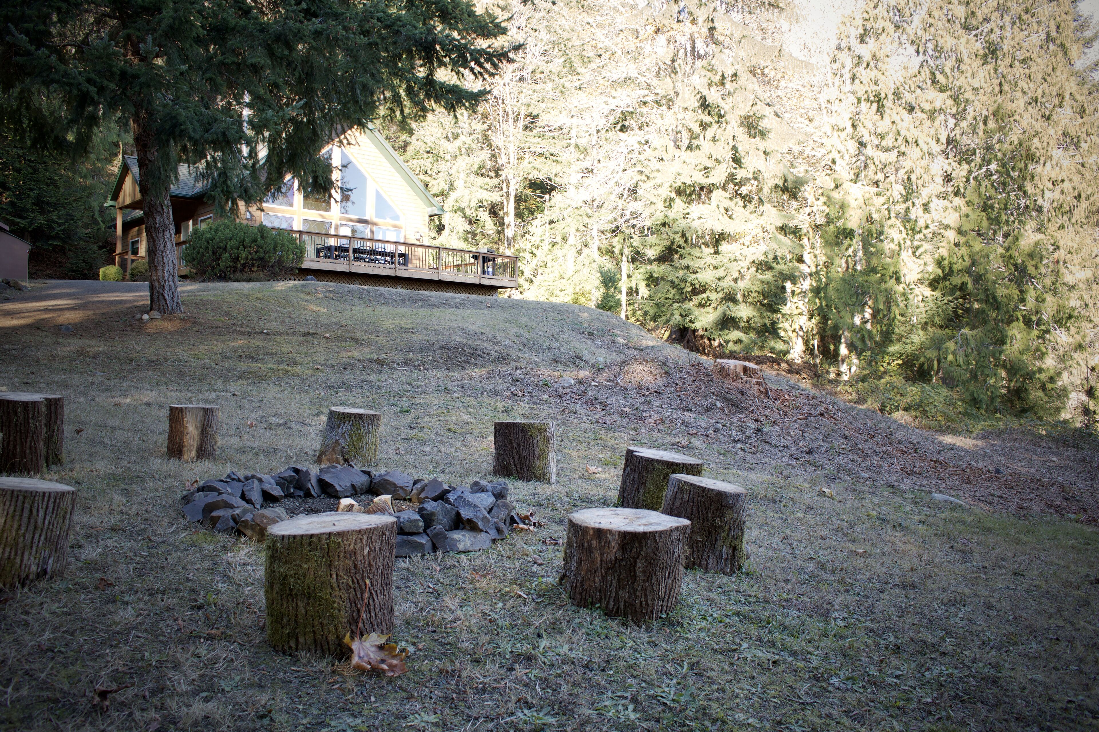 Un espace extérieur rustique avec un foyer en pierre entouré de souches d’arbres, une terrasse en bois et, en arrière-plan, une forêt dense.