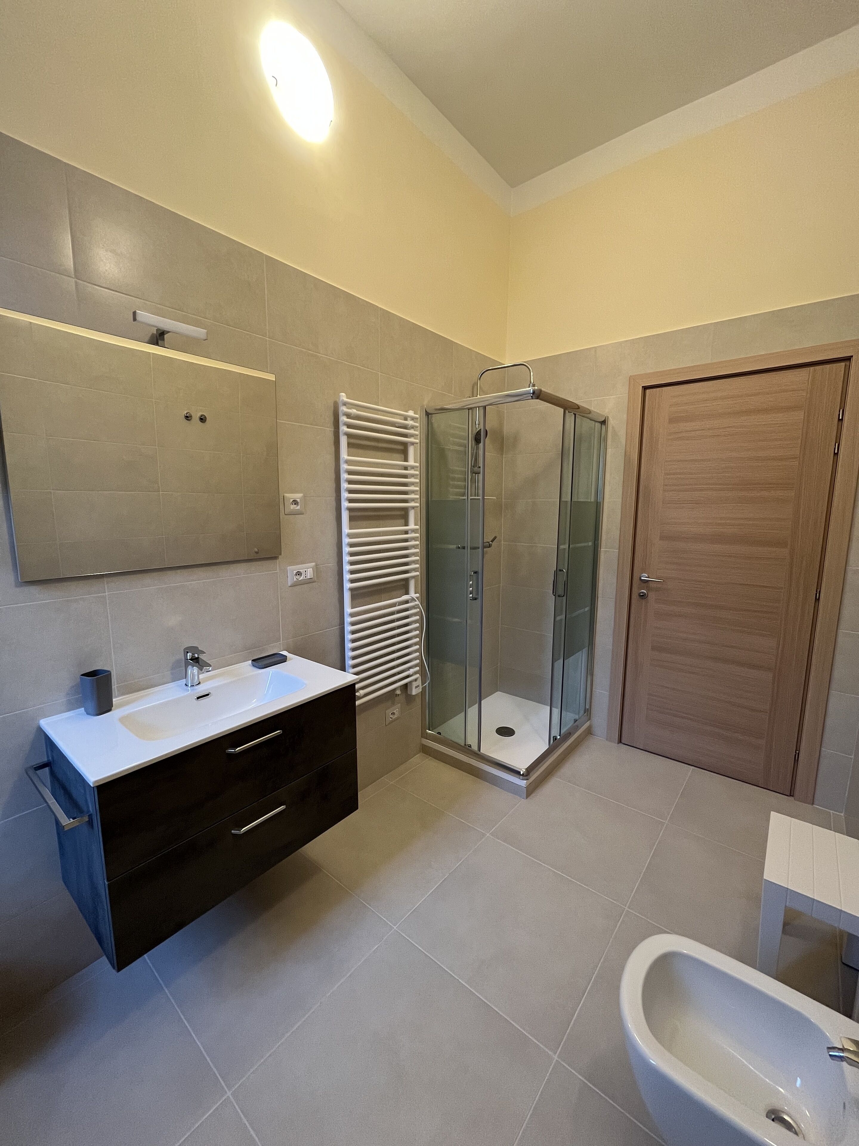 Een moderne badkamer met een douchecabine van glas, een houten deur en een wit wastafelmeubel met een spiegel erboven.