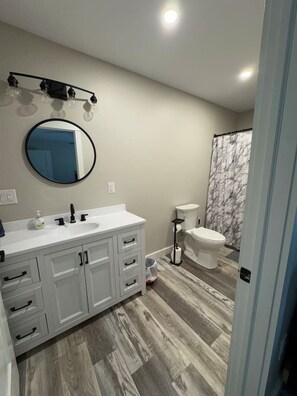Combined shower/tub, hair dryer