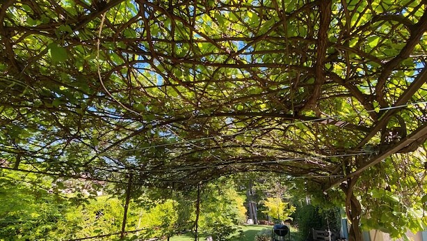 An outdoor patio with a table and chairs under a pergola, surrounded by lush greenery. - House with garden in Provence (Valréas)