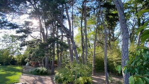A forested area with a gravel path, surrounded by tall trees and greenery. - House with garden in Provence (Valréas)