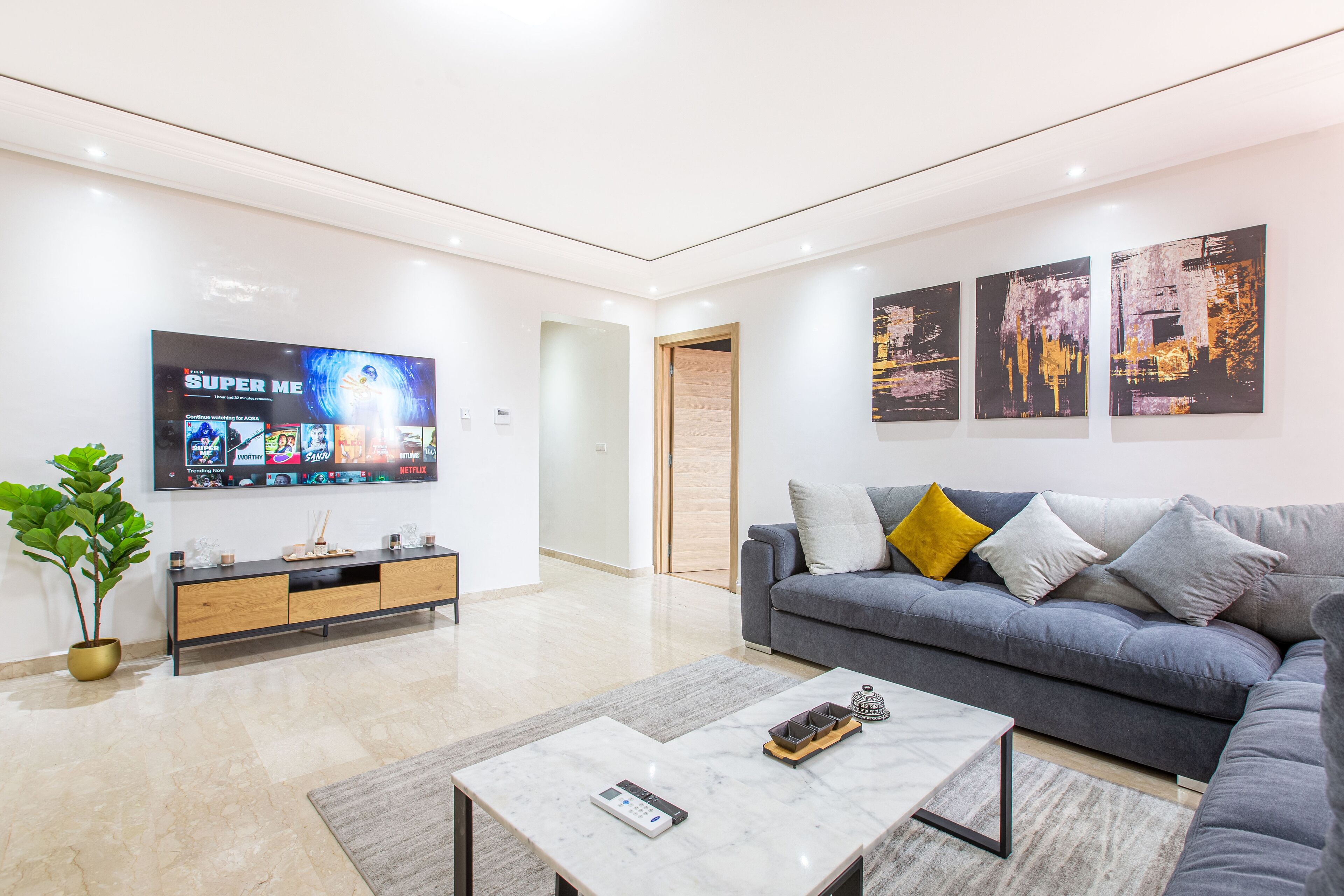 A modern living room with a flat-screen TV, a grey sofa, a coffee table, and a plant.
