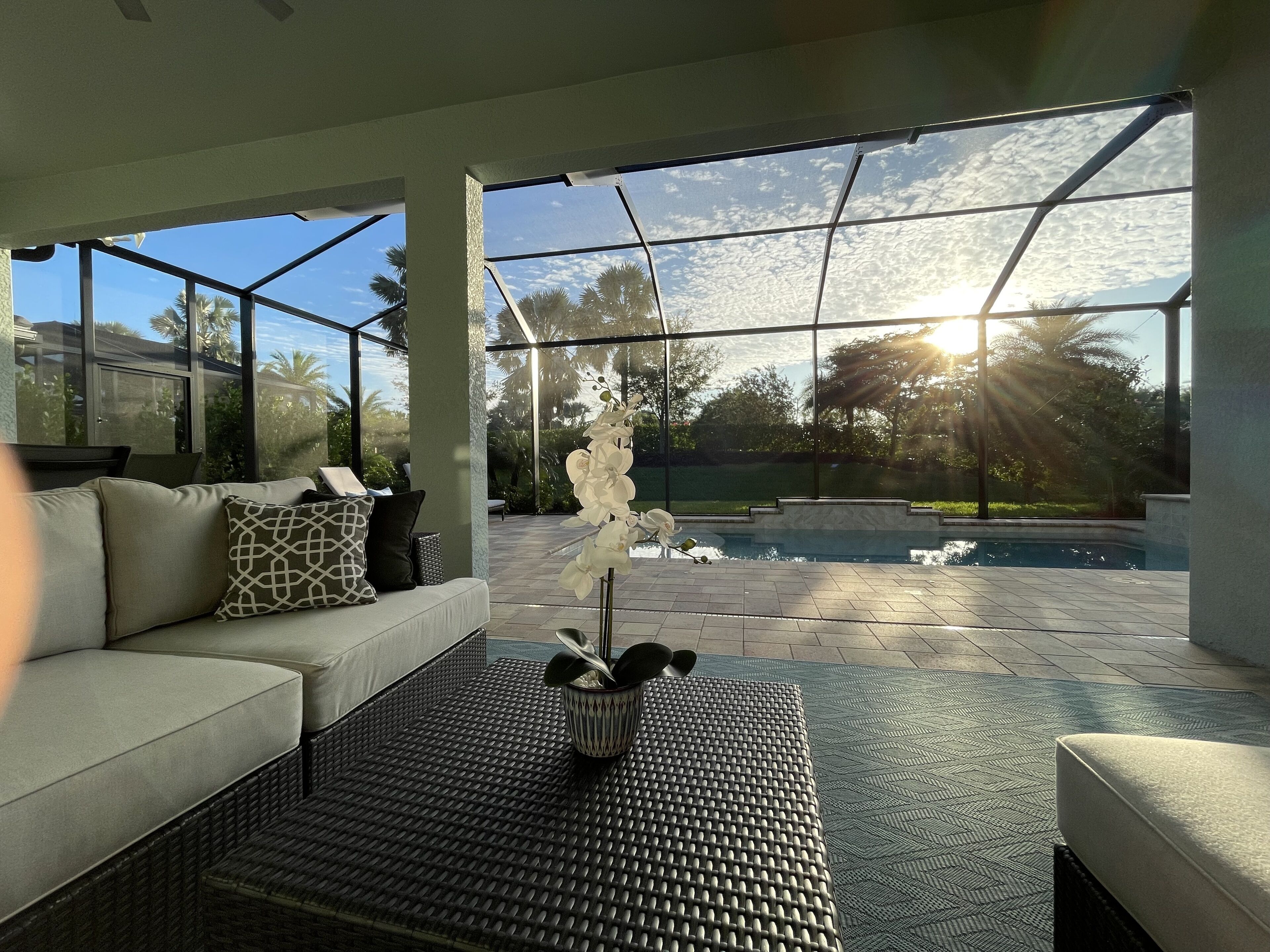 A sunlit patio with a pool, a sofa with patterned cushions, and a decorative orchid arrangement.