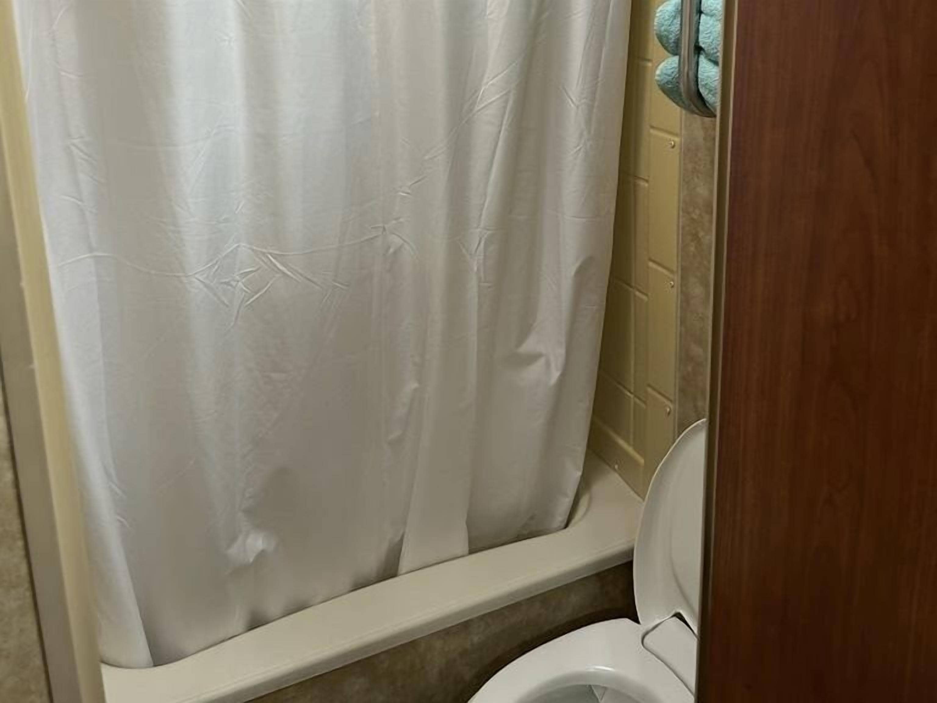 A bathroom with a white shower curtain, a toilet, and a wooden door.