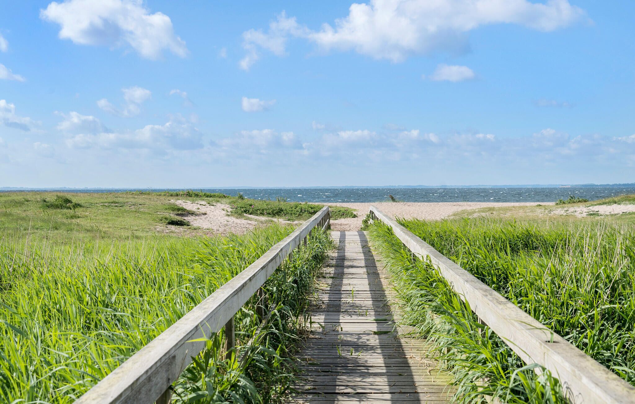 Vlak bij het strand, vissen