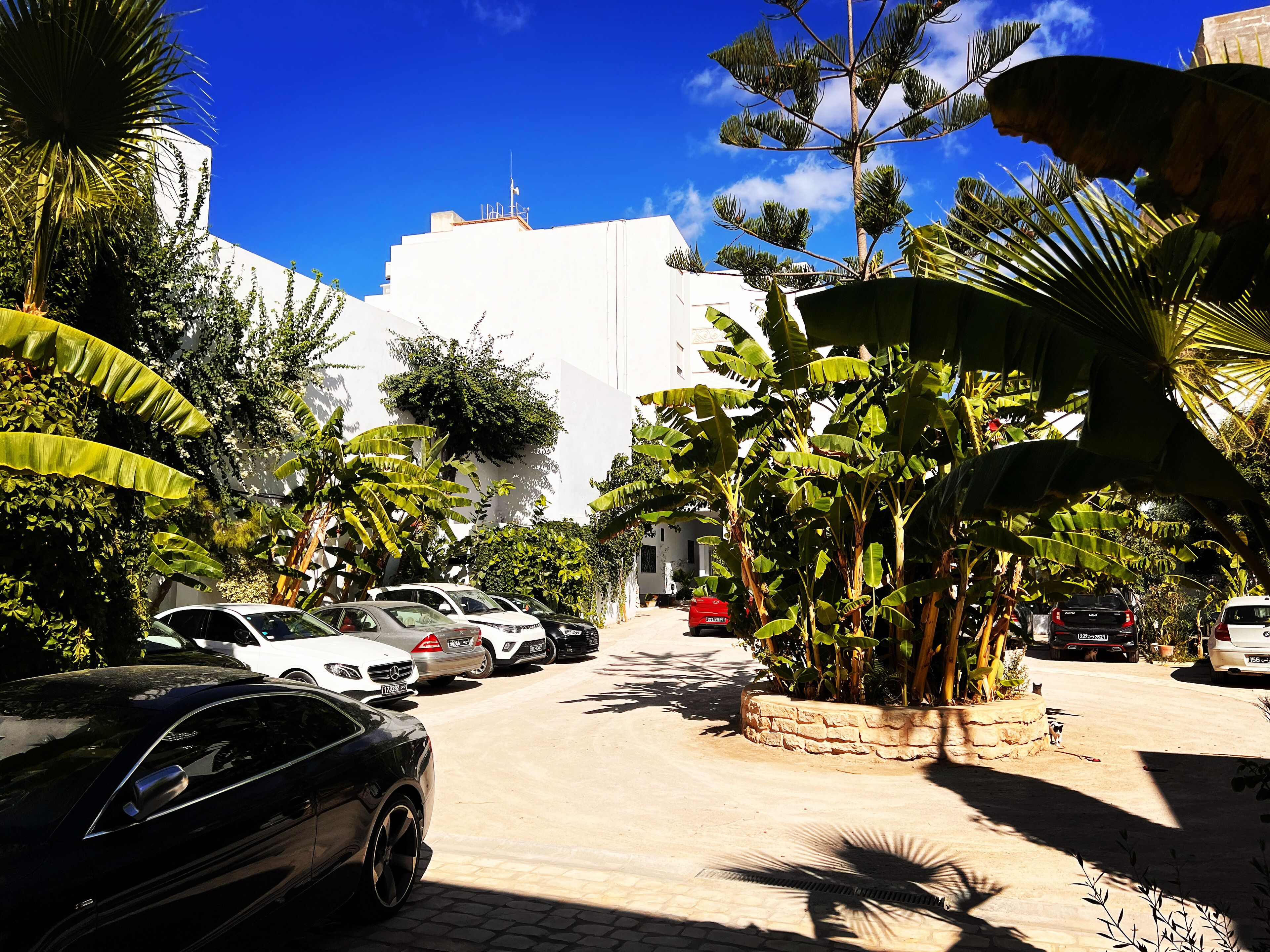 Photo - Résidence Neffati