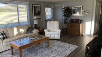 TV connectée, cheminée, chaßne hi-fi