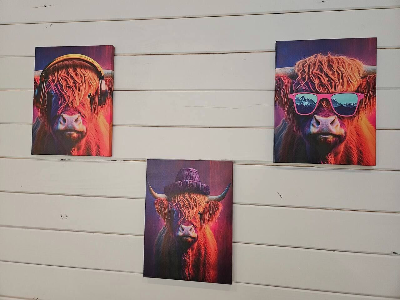 Three framed artworks of bulls on a white wall.