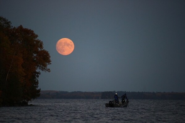 Beautiful Birch Lake