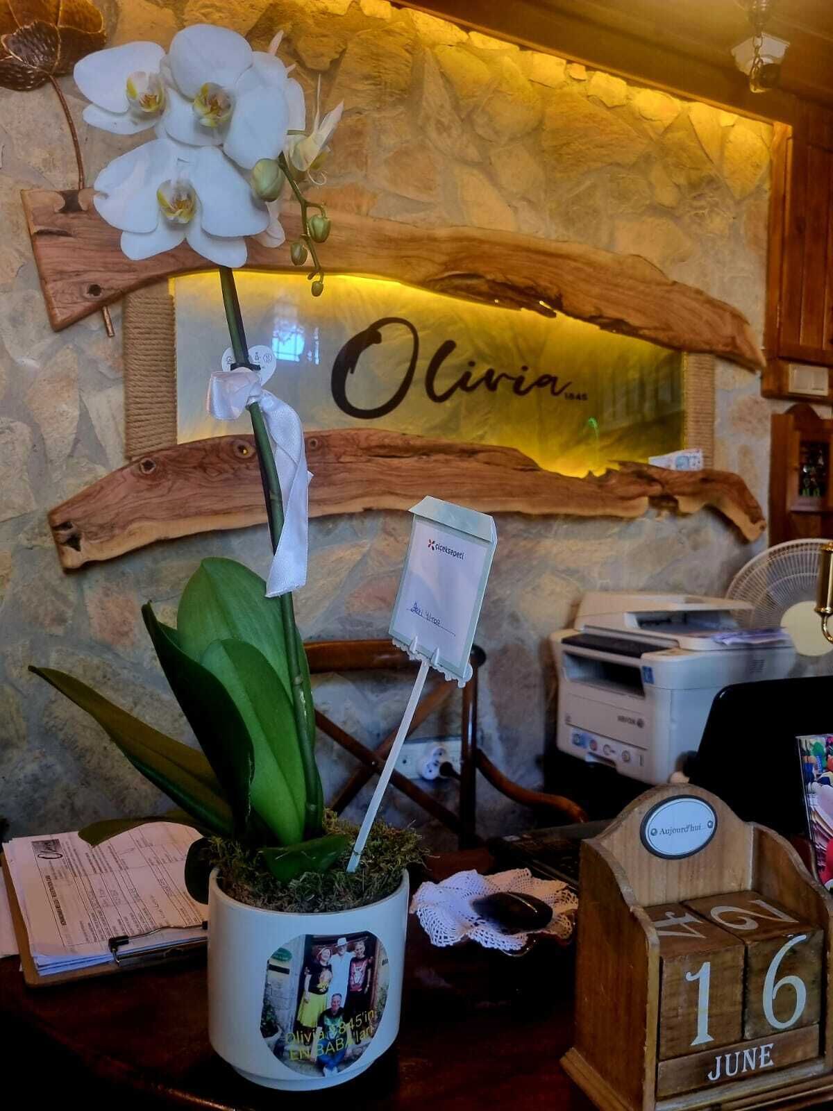 Una recepción con una orquídea en maceta, un letrero de madera con el nombre 'Olivia', un calendario que indica '16 de junio' y una impresora.