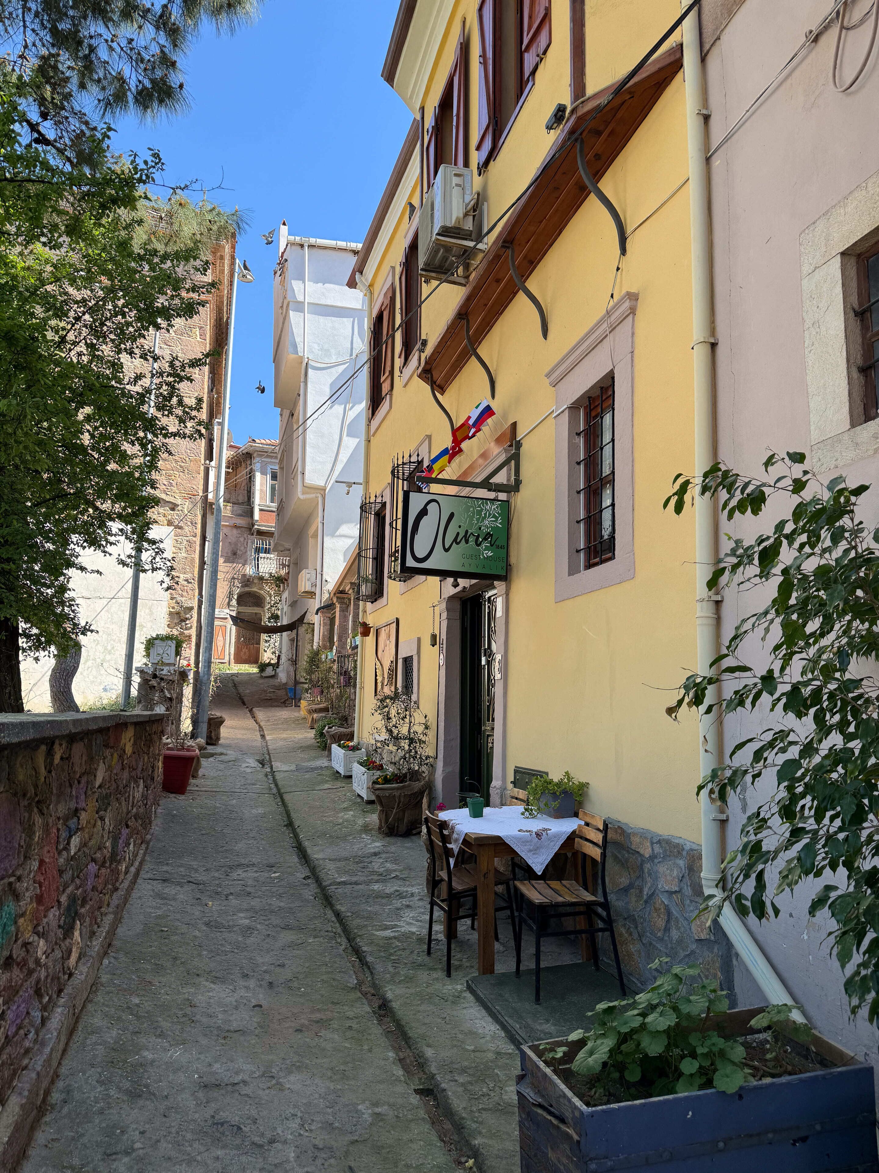 A narrow street with buildings on either side, a sign for 'Olive Guest House', outdoor seating with tables and chairs, and potted plants.