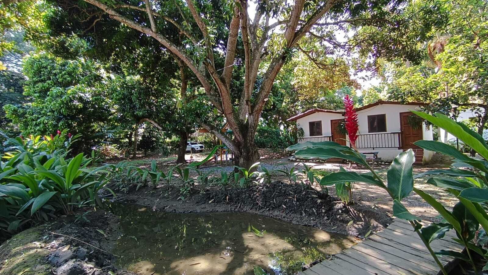 Ein Garten mit Teich, einer Holzterrasse und einem Haus mit roter Tür.