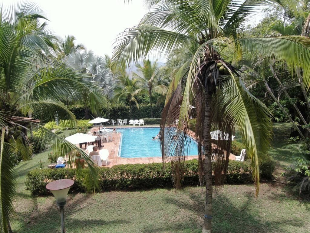 A pool surrounded by palm trees and greenery, with a clear view of the pool area and some outdoor seating.