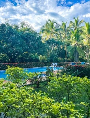Una piscina rodeada de exuberante vegetación y palmeras, bajo un cielo despejado.