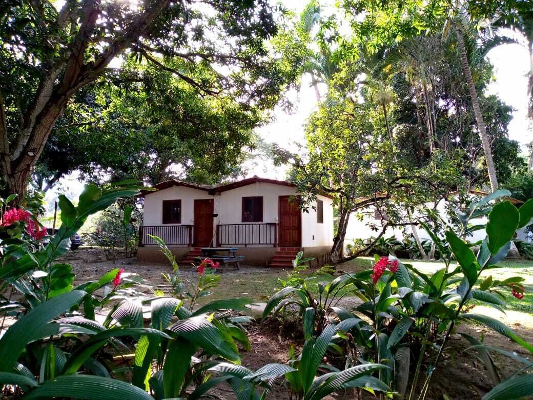 A two-story house with a porch, surrounded by lush greenery and trees.