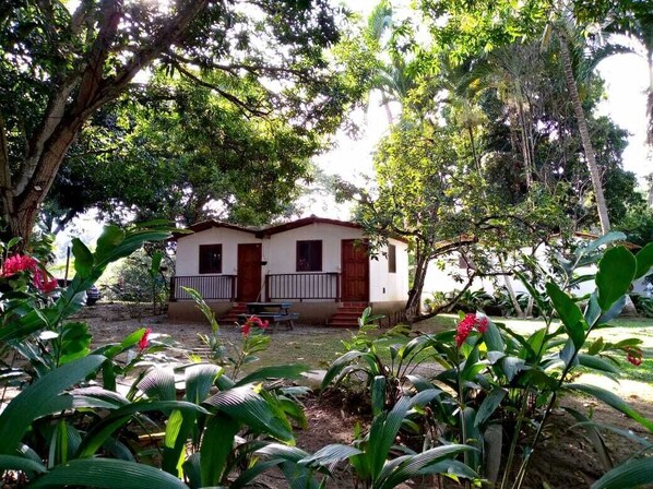 Una casa de dos pisos con un porche, rodeada de abundante vegetación y árboles.