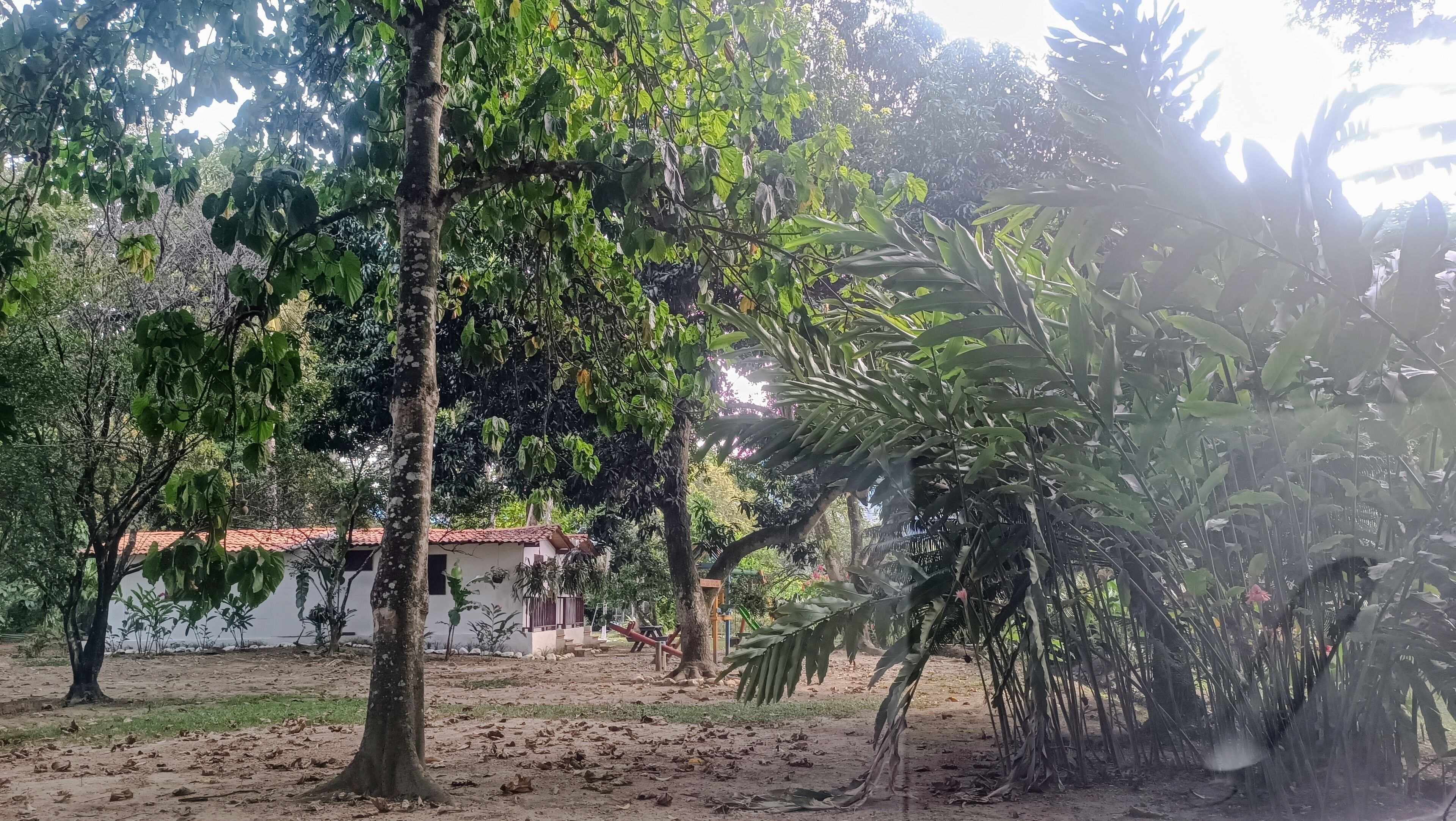 Un jardín con árboles, un edificio blanco de techo rojo y un conjunto de columpios.