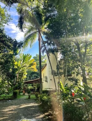 Reception - Finca Hotel La Estancia  (Santa Fe de Antioquia)