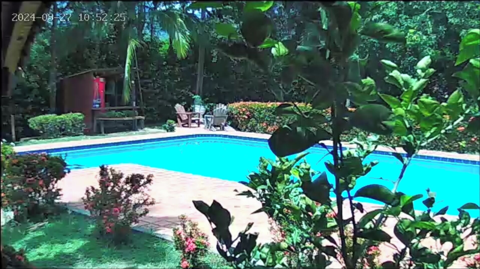 A swimming pool surrounded by lush greenery and a patio area with outdoor furniture.