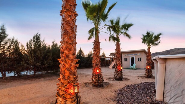 A desert landscape with palm trees, a building, and a body of water in the background.