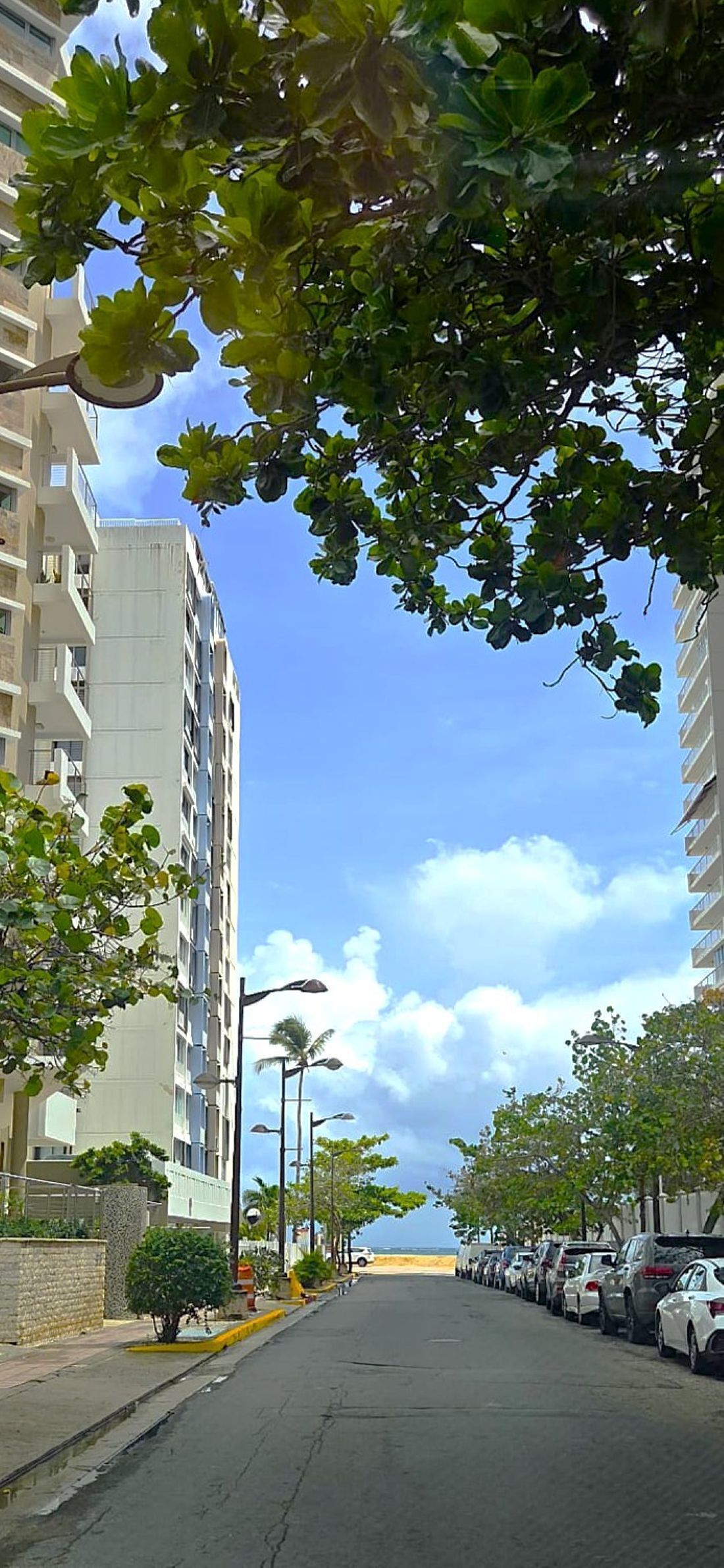 Una calle bordeada de coches aparcados y edificios altos, con cielo despejado y algunas nubes.