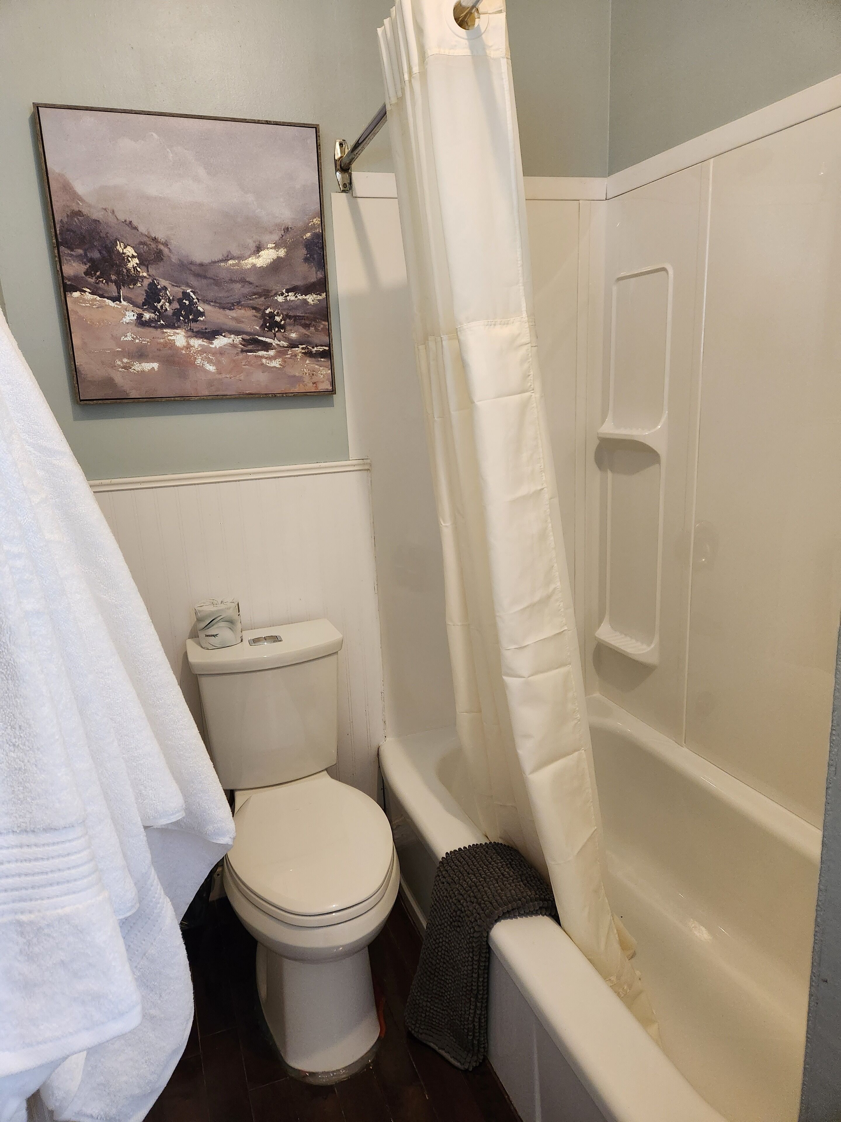 A bathroom with a toilet, bathtub, and a shower curtain.