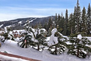 A snowy landscape with snow-covered trees and a building in the background.