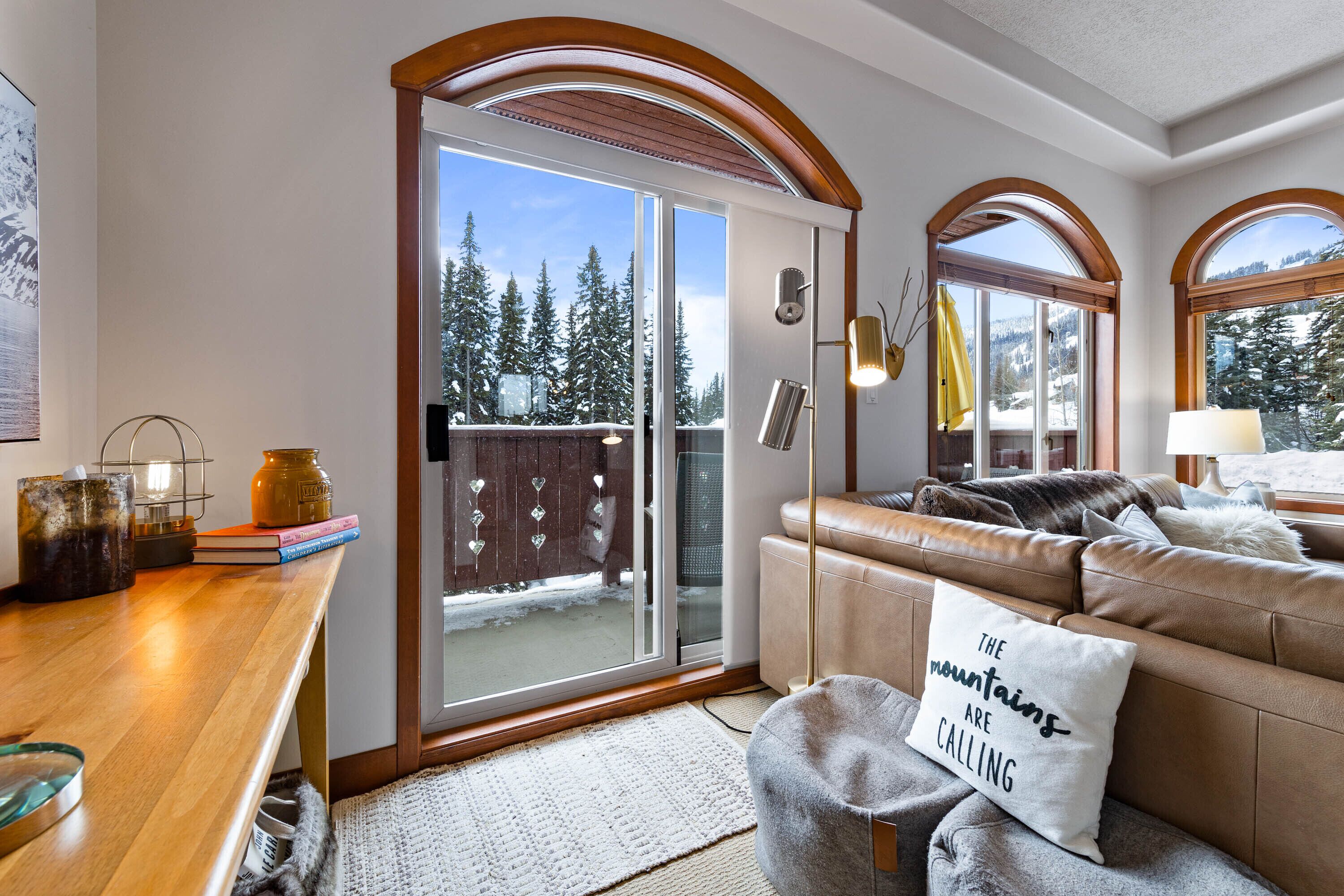 TV, fireplace, DVD player