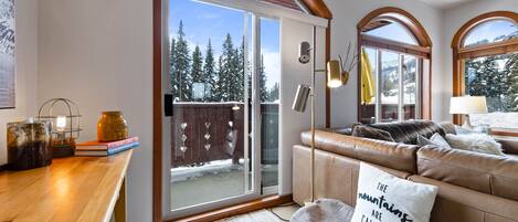 Télévision, cheminée, lecteur de DVD