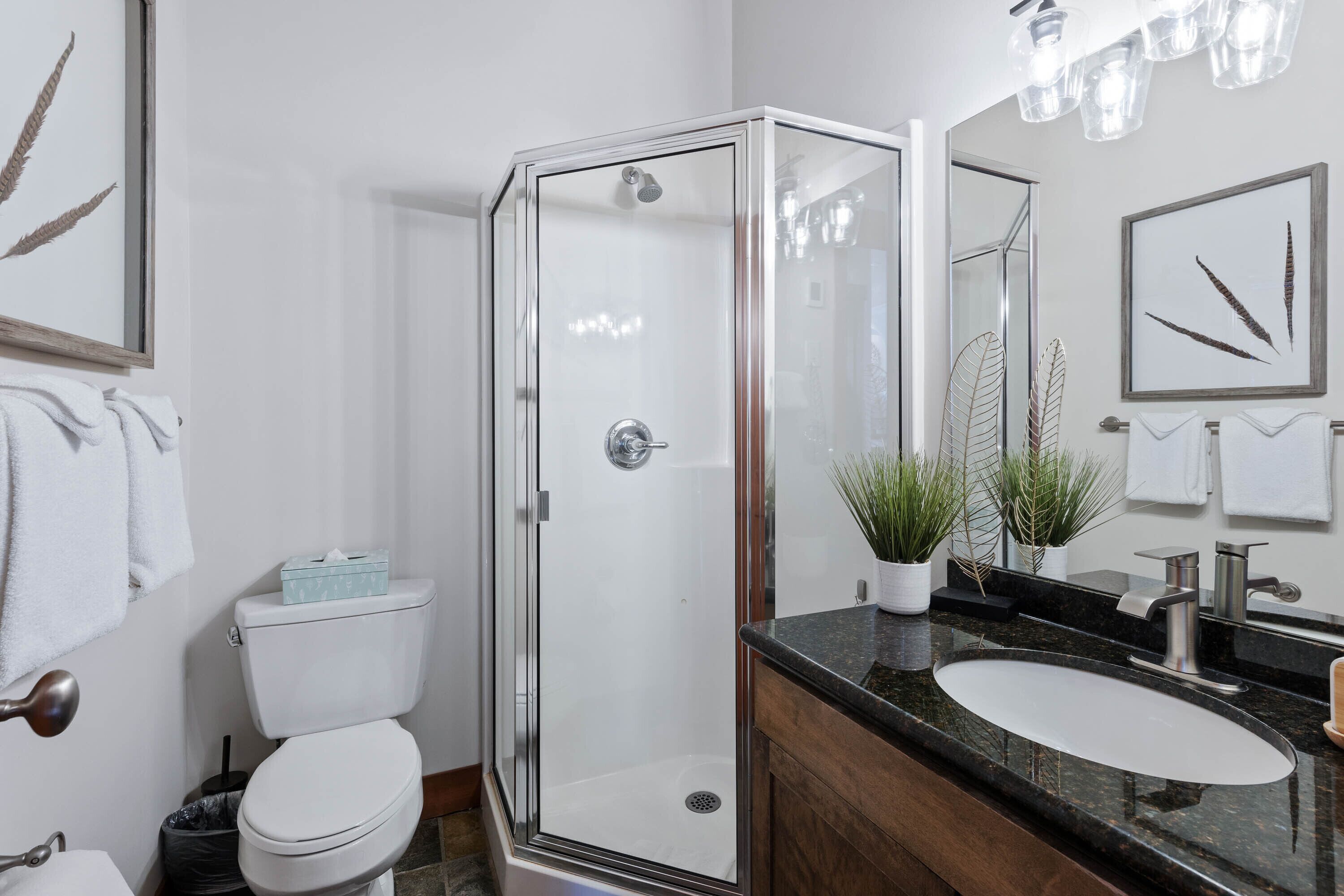 Welcome to Chalet Marmotte