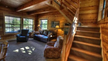 Televisio, takka, DVD-soitin, videokirjasto