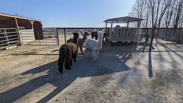 Overnatningsstedets område