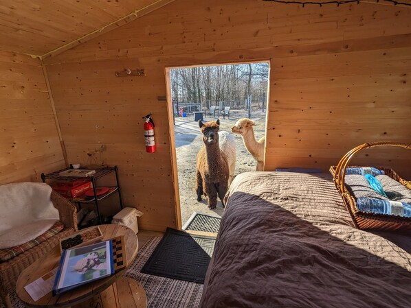 1 bedroom, desk, free WiFi