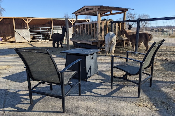 Àrea exterior de l'allotjament