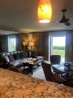 Smart TV, DVD player, books