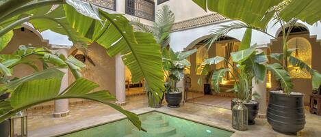 A pool area with steps leading into the water, surrounded by large potted plants and architectural columns.